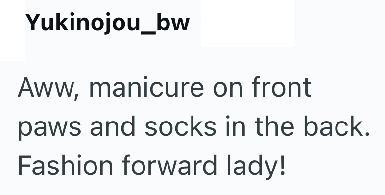 Yukinojou_bw Aww, manicure on front paws and socks in the back. Fashion forward lady!