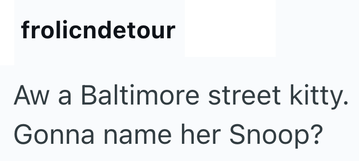 frolicndetour Aw a Baltimore street kitty. Gonna name her Snoop?