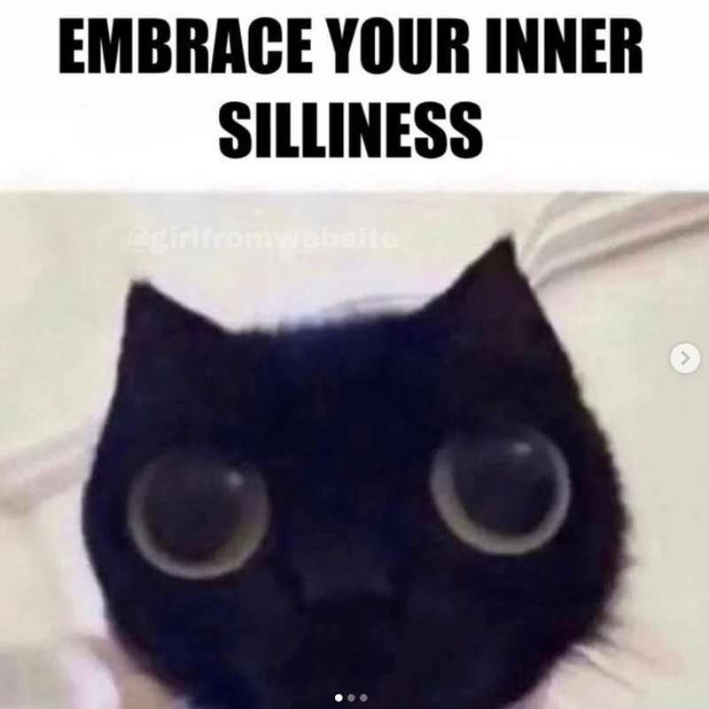 EMBRACE YOUR INNER SILLINESS @girlfromwebsite