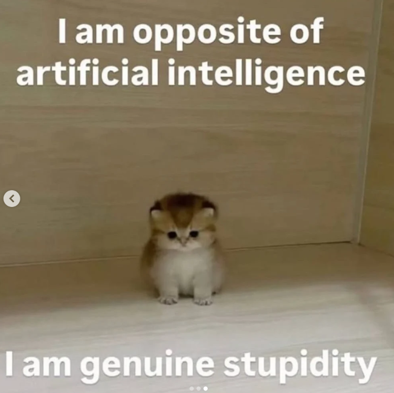 I am opposite of artificial intelligence I am genuine stupidity