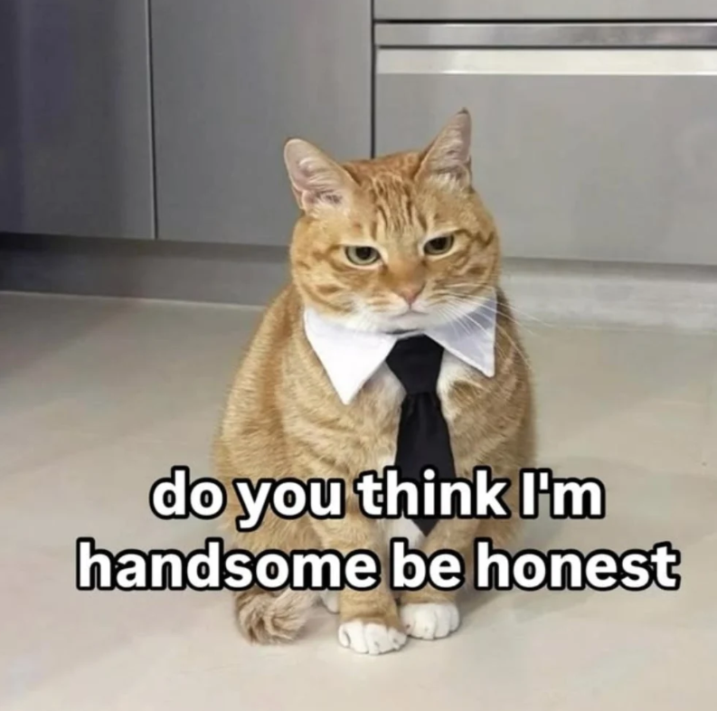do you think I'm handsome be honest