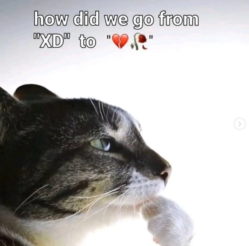 how did we go from "XD" to <