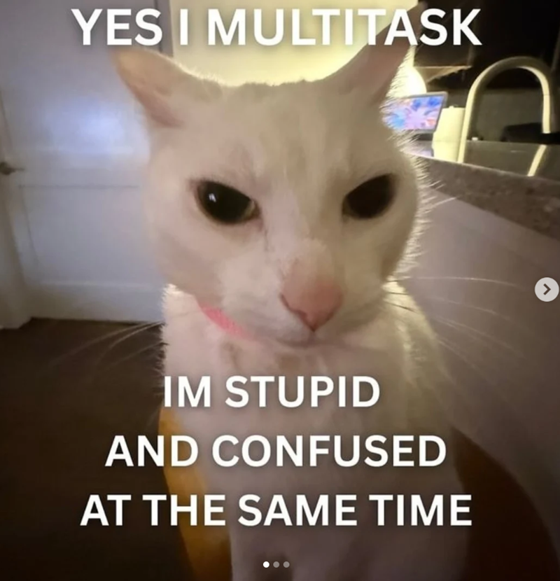 YES I MULTITASK IM STUPID AND CONFUSED AT THE SAME TIME