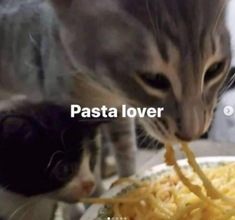 Pasta lover > 1003