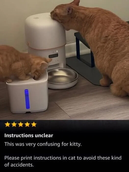 Instructions unclear This was very confusing for kitty. Please print instructions in cat to avoid these kind of accidents.