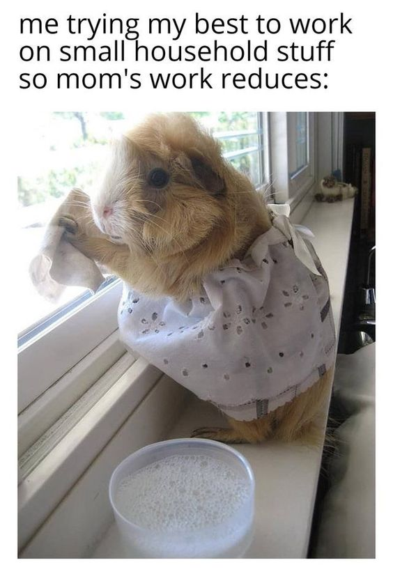 me trying my best to work on small household stuff so mom's work reduces: