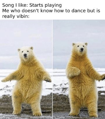 Song I like: Starts playing Me who doesn't know how to dance but is really vibin: