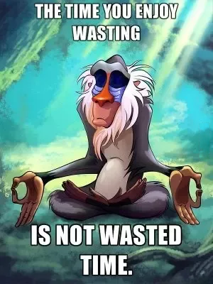 THE TIME YOU ENJOY WASTING IS NOT WASTED TIME.