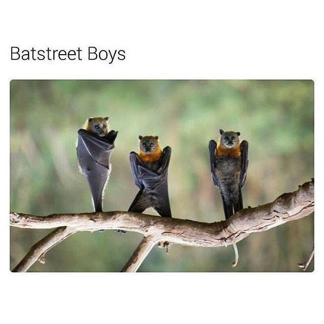Batstreet Boys
