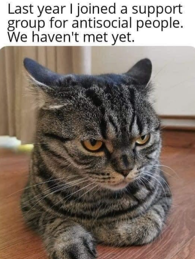 Last year I joined a support group for antisocial people. We haven't met yet.