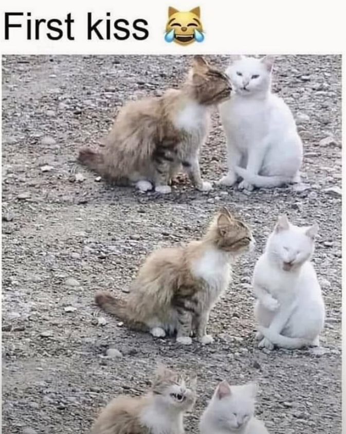 First kiss