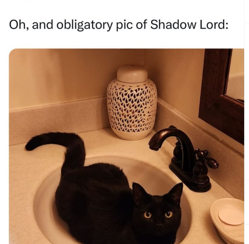 Oh, and obligatory pic of Shadow Lord: