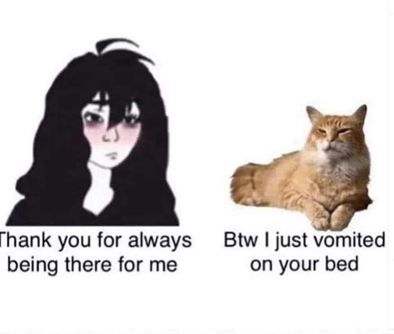 Thank you for always being there for me Btw I just vomited on your bed
