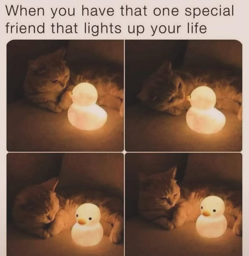 When you have that one special friend that lights up your life