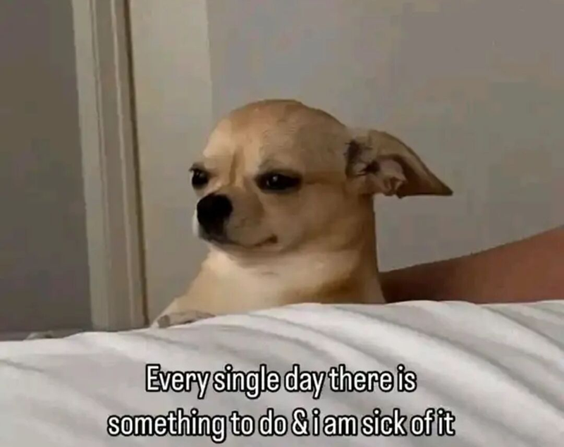 Every single day there is something to do &i am sick of it