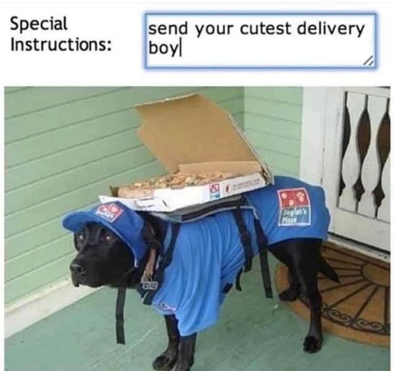 Special Instructions: send your cutest delivery boyl Fitz