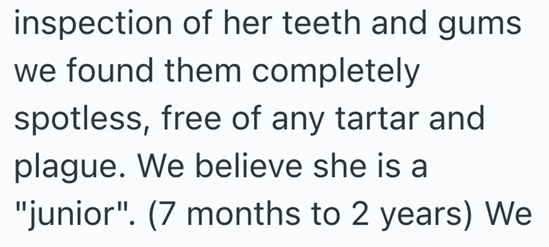 inspection of her teeth and gums we found them completely spotless, free of any tartar and plague. We believe she is a "junior". (7 months to 2 years) We
