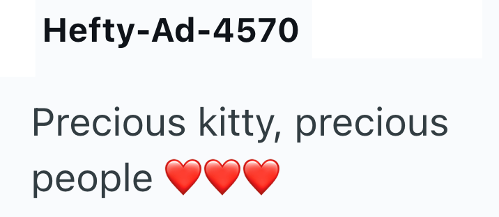 Hefty-Ad-4570 Precious kitty, precious people ♥♥♥