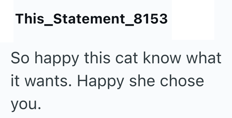 This_Statement_8153 So happy this cat know what it wants. Happy she chose you.