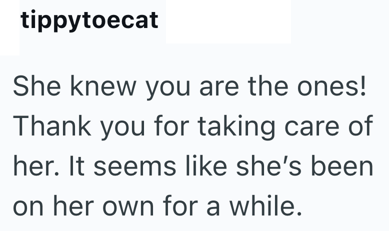 tippytoecat She knew you are the ones! Thank you for taking care of her. It seems like she's been on her own for a while.