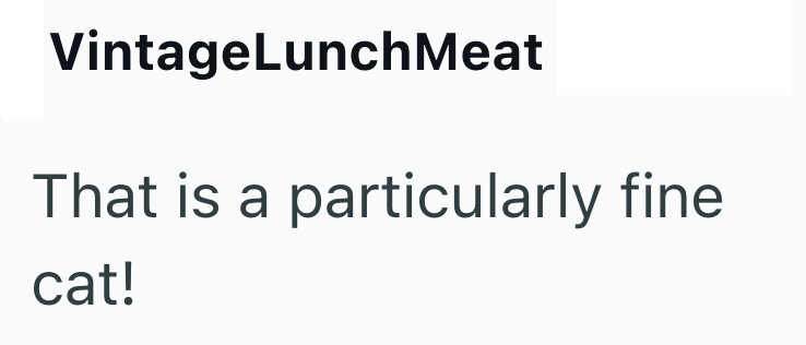 VintageLunch Meat That is a particularly fine cat!