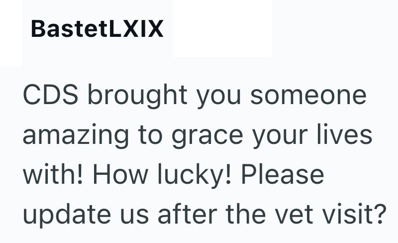 BastetLXIX CDS brought you someone amazing to grace your lives with! How lucky! Please update us after the vet visit?