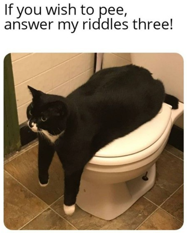 If you wish to pee, answer my riddles three!