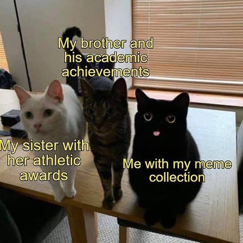 My brother and his academic achievements My sister with her athletic awards Me with my meme collection