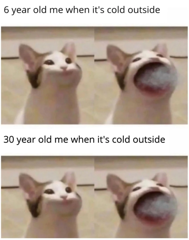 6 year old me when it's cold outside 30 year old me when it's cold outside