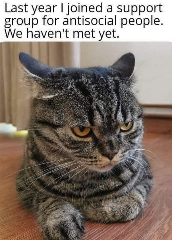 Last year I joined a support group for antisocial people. We haven't met yet.
