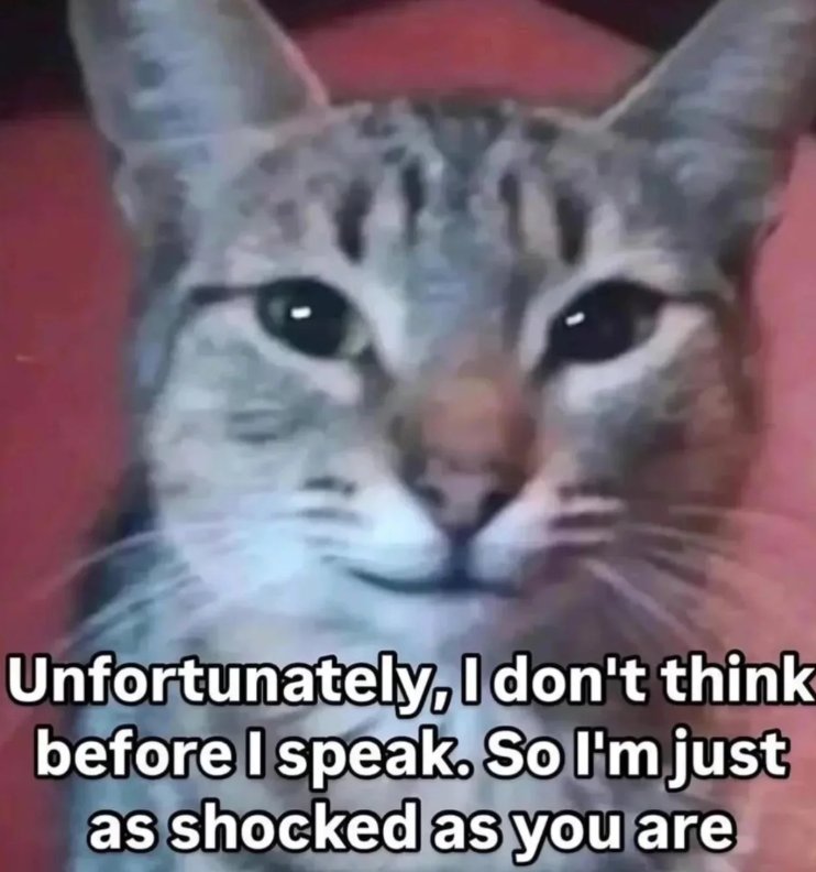 Unfortunately, I don't think before I speak. So I'm just as shocked as you are