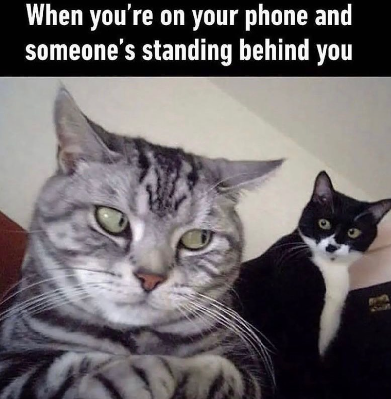 When you're on your phone and someone's standing behind you