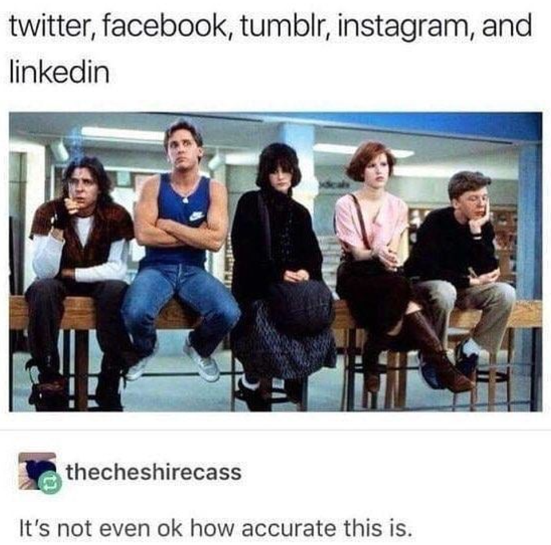 twitter, facebook, tumblr, instagram, and linkedin thecheshirecass It's not even ok how accurate this is.
