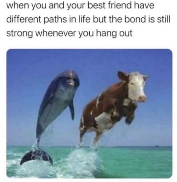 when you and your best friend have different paths in life but the bond is still strong whenever you hang out