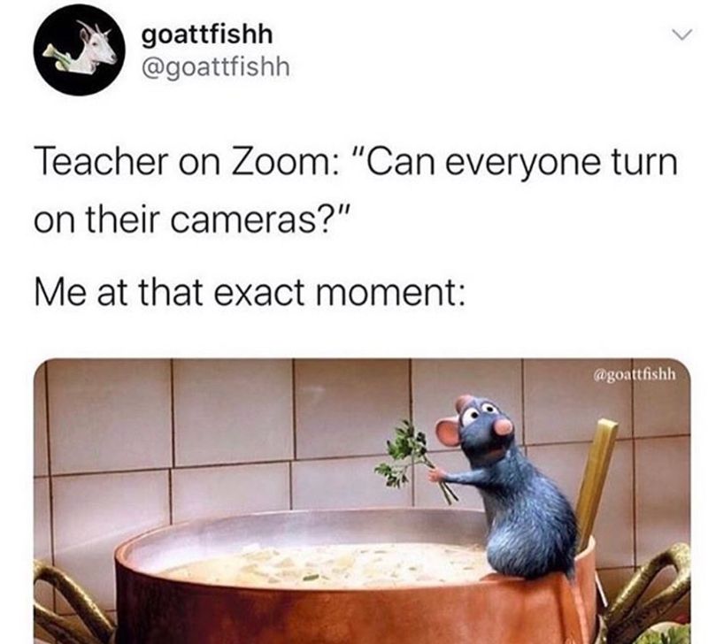 goattfishh @goattfishh. Teacher on Zoom: "Can everyone turn on their cameras?" Me at that exact moment: @goattfishh