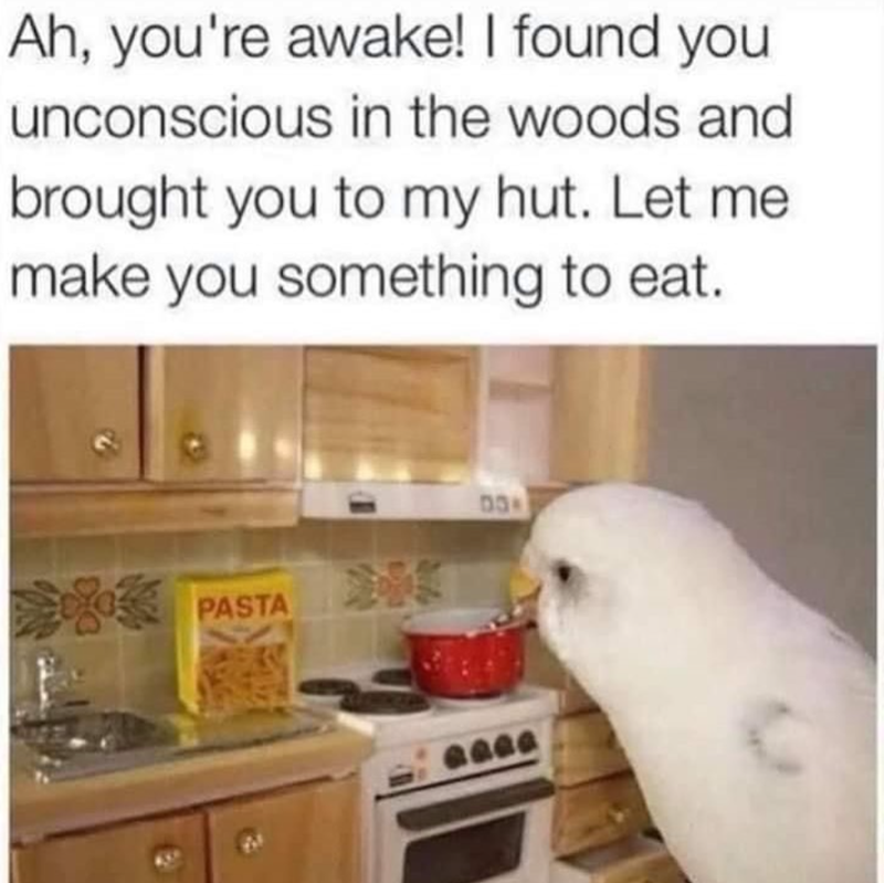 Ah, you're awake! I found you unconscious in the woods and brought you to my hut. Let me make you something to eat. PASTA 03-