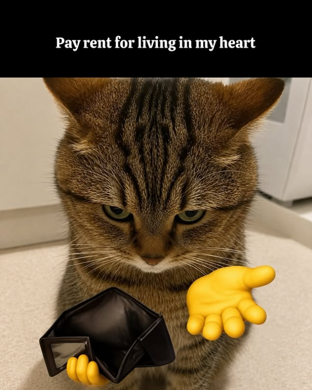 Pay rent for living in my heart