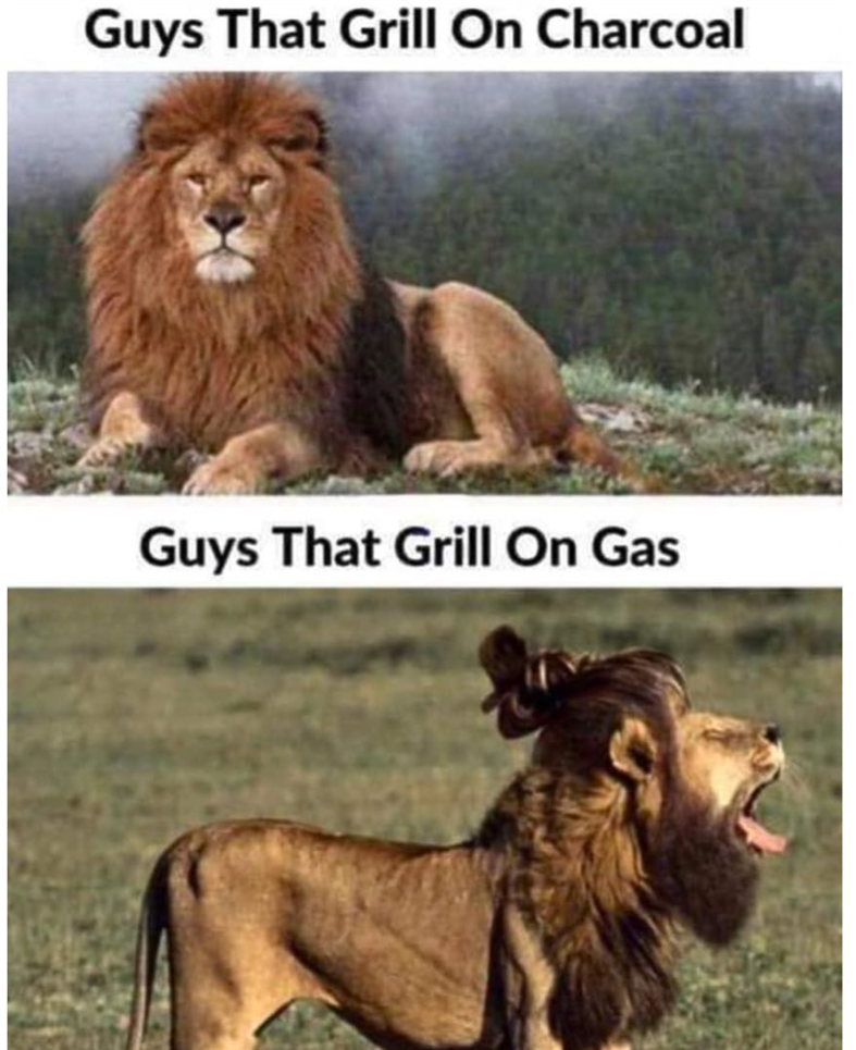 Guys That Grill On Charcoal Guys That Grill On Gas