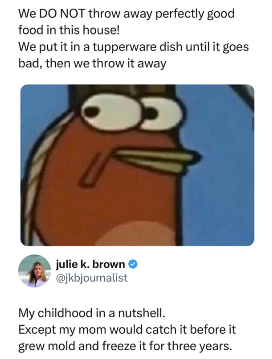 We DO NOT throw away perfectly good food in this house! We put it in a tupperware dish until it goes bad, then we throw it away julie k. brown ⭑> @jkbjournalist My childhood in a nutshell. Except my mom would catch it before it grew mold and freeze it for three years.