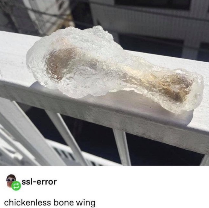 ssl-error chickenless bone wing