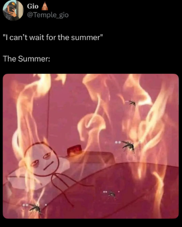 Gio @Temple_gio "I can't wait for the summer" The Summer: