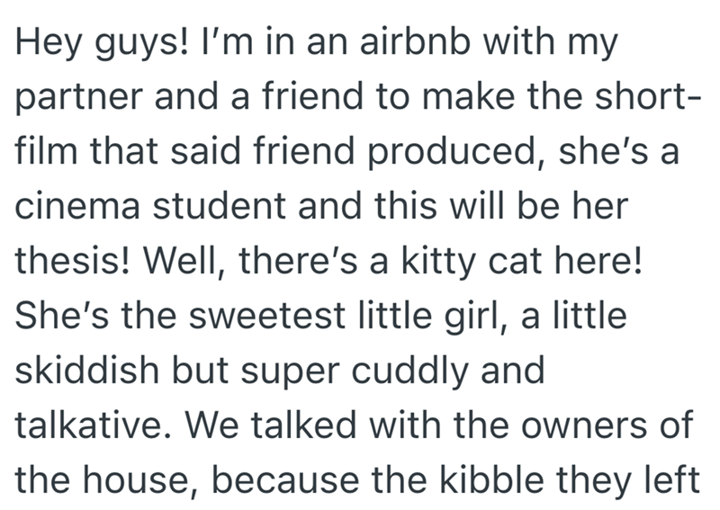 Hey guys! I'm in an airbnb with my partner and a friend to make the short- film that said friend produced, she's a cinema student and this will be her thesis! Well, there's a kitty cat here! She's the sweetest little girl, a little skiddish but super cuddly and talkative. We talked with the owners of the house, because the kibble they left