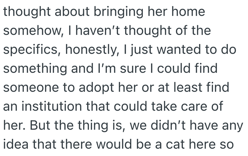 thought about bringing her home somehow, I haven't thought of the specifics, honestly, I just wanted to do something and I'm sure I could find someone to adopt her or at least find an institution that could take care of her. But the thing is, we didn't have any idea that there would be a cat here so