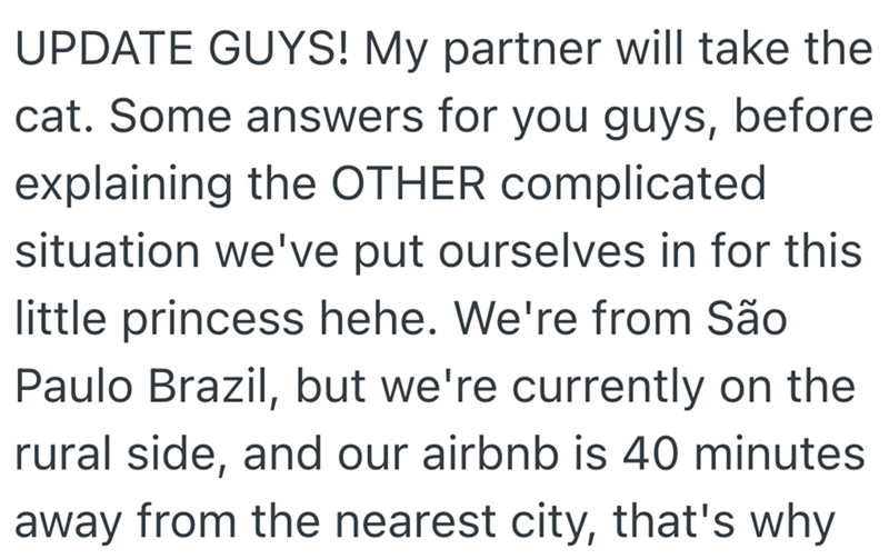 UPDATE GUYS! My partner will take the cat. Some answers for you guys, before explaining the OTHER complicated situation we've put ourselves in for this little princess hehe. We're from São Paulo Brazil, but we're currently on the rural side, and our airbnb is 40 minutes away from the nearest city, that's why