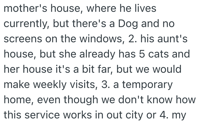 mother's house, where he lives currently, but there's a Dog and no screens on the windows, 2. his aunt's house, but she already has 5 cats and her house it's a bit far, but we would make weekly visits, 3. a temporary home, even though we don't know how this service works in out city or 4. my