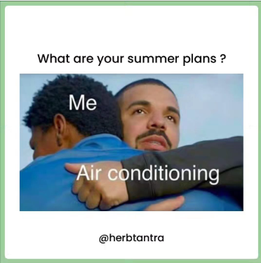 What are your summer plans? Me Air conditioning @herbtantra