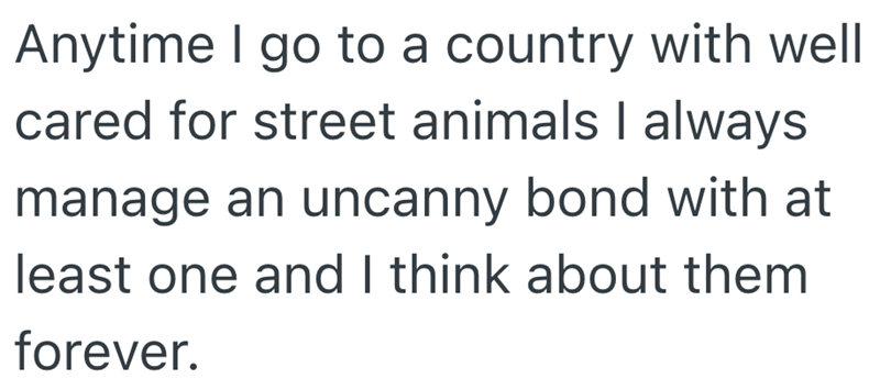 Anytime I go to a country with well cared for street animals I always manage an uncanny bond with at least one and I think about them forever.