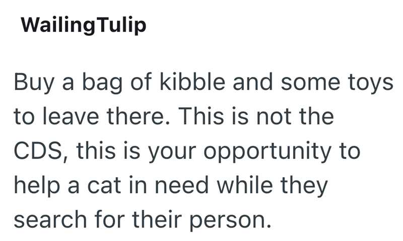 Wailing Tulip Buy a bag of kibble and some toys to leave there. This is not the CDS, this is your opportunity to help a cat in need while they search for their person.