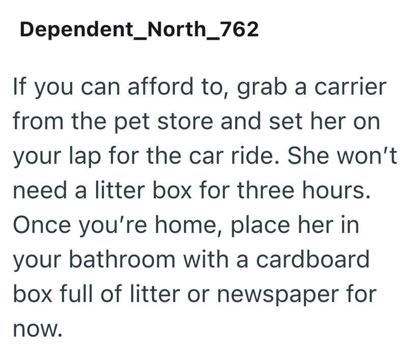 Dependent_North_762 If you can afford to, grab a carrier from the pet store and set her on your lap for the car ride. She won't need a litter box for three hours. Once you're home, place her in your bathroom with a cardboard box full of litter or newspaper for now.