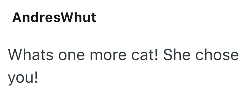 AndresWhut Whats one more cat! She chose you!